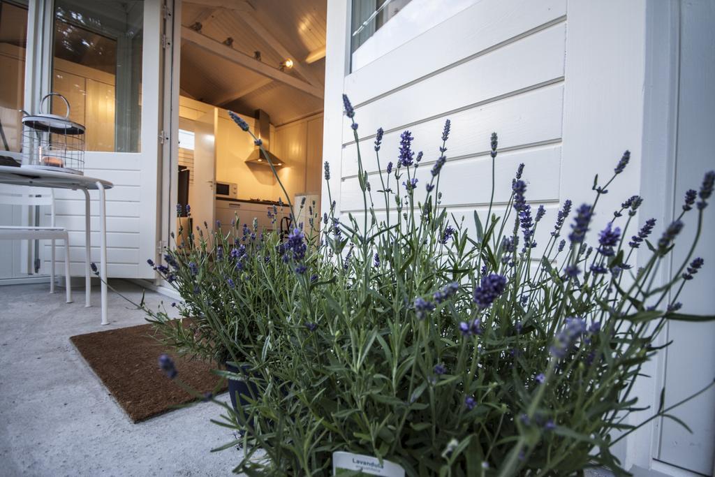 Tiny House Madame Jeanette Vila Zandvoort Quarto foto